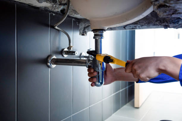 Professional Plumbing Services in Minneola, FL